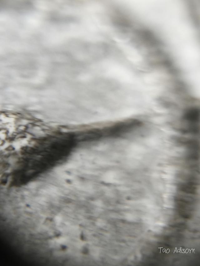 พระสมเด็จวัดระฆังโฆสิตาราม 20