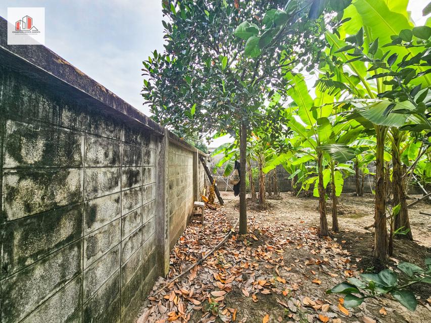 ขาย ที่ดิน ถมแล้ว-สูงกว่าถนน เข้าซอยเพียง 20 เมตร หมู่บ้านเศรษฐกิจ บางแค 82 ตรว 6