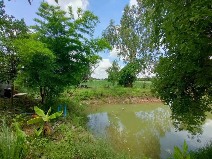 ขายที่ดินเขตอำเภอกระนวน 10 ไร่ 3 ตารางวา 11