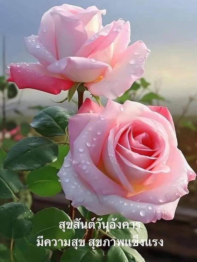 เหรียญลพ.กลั่นวัดพระญาติ รูปย่อยที่ 2