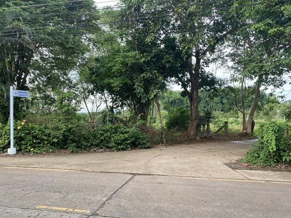 ขาย!!! ที่ดินสวย ทำเลศักยภาพ ใจกลางเมือง..หลังค่ายตากสิน..เนื้อที่ 14 ไร่เศษ โทร 092-5635533 รูปที่ 1