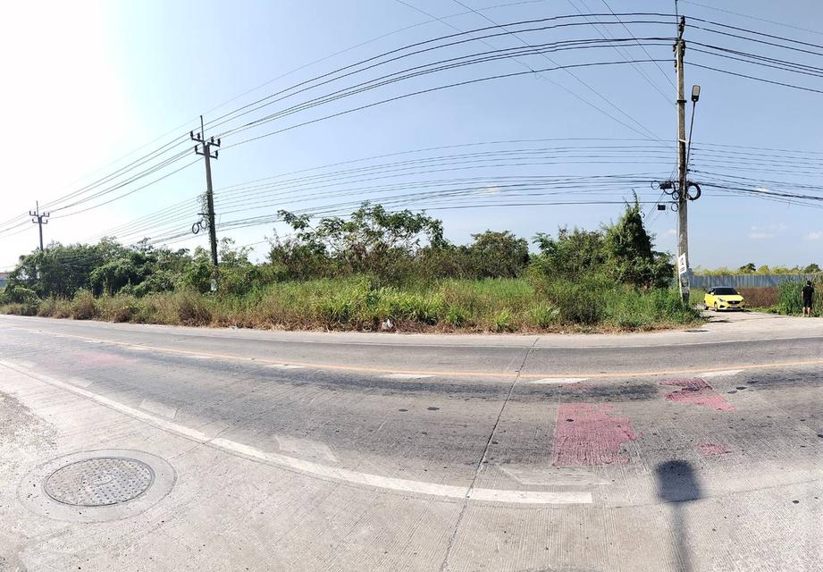 ที่ดินนนทบุรี ไทรน้อย 2 ไร่ ติดถนนใหญ่ สอบถามโทร 099-545-9556 5