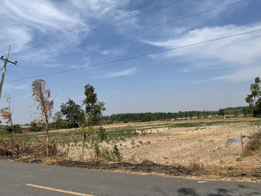 ขายที่ดินเขาหินซ้อน 25 ไร่ ติดฟาร์มเป็ดติดถนนลาดยาง ใกล้ถนนเส้น304-3กม. อ.พนมสารคาม ฉะเชิงเทรา 4