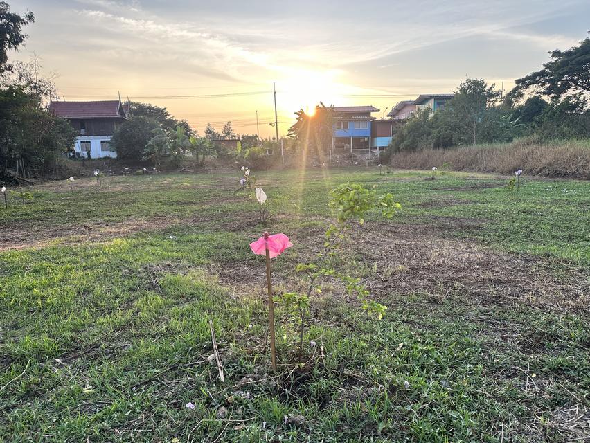 ขายที่ดิน 1 ไร่ (400 ตร.วา) ต.สวนพริก พระนครศรีอยุธยา 1