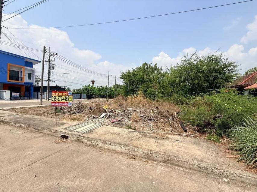 ขายด่วนที่ดิน 116 ตารางวา ติดถนนคอนกรีตโครงการ เลคไซด์วิล คลอง10 ลำลูกกา จ.ปทุมธานี 1