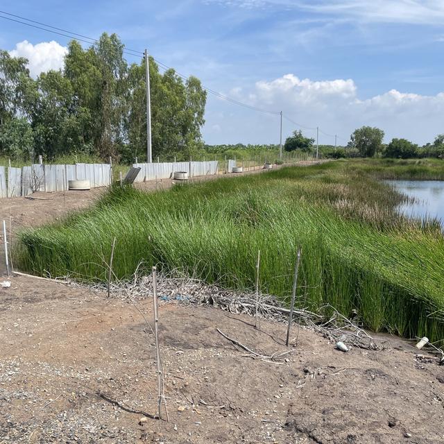 ขายที่ดินเปล่า 4 ไร่ ตำบล วัดยม อำเภอ บางปะอิน จังหวัด พระนครศรีอยุธยา 11