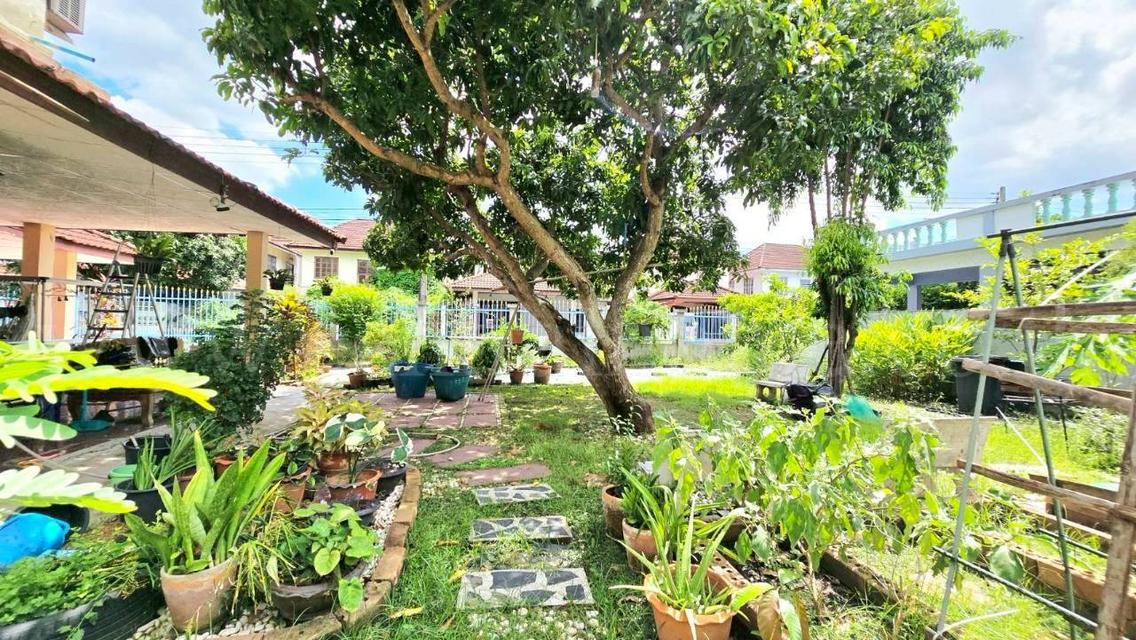 บ้านเดี่ยว พรธิสาร 6 รังสิต - คลอง 7 7