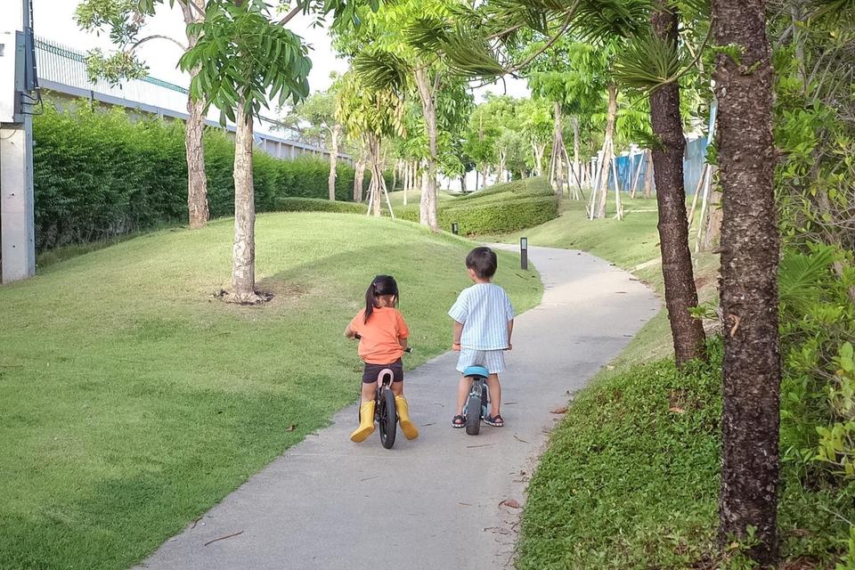 ให้เช่าบ้าน ที่อยู่พักอาศัย 18