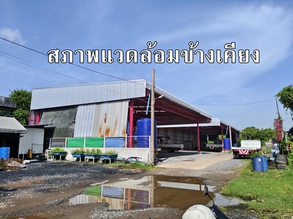 ขาย ที่ดิน ติด ถ.ร่มเกล้า ร่มเกล้า 52 ลาดกระบัง 80 ตารางวา ใกล้มอเตอร์เวย์ สนามบินสุวรรณภูมิ เหมาะทำโกดังเก็บของ 7