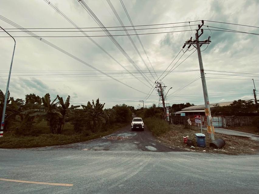 ขายถูกต่ำกว่าประเมิน 292 ตรว ติดถนนสาธารณะ คลอง 13 ฝั่งตะวันตก หนองจอก กทม. 9