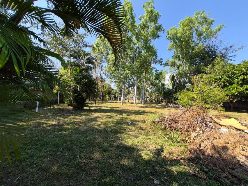 ที่ดิน ใกล้เชียงใหม่ไนท์ซาฟารี และ พืชสวนโลก จังหวัดเชียงใหม่ 7