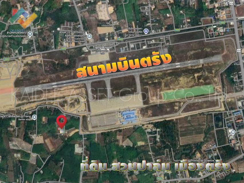 ที่ดิน โคกหล่อ เมืองตรัง ตรัง สวนปาล์ม ใกล้สนามบิน ราคาถูก 4