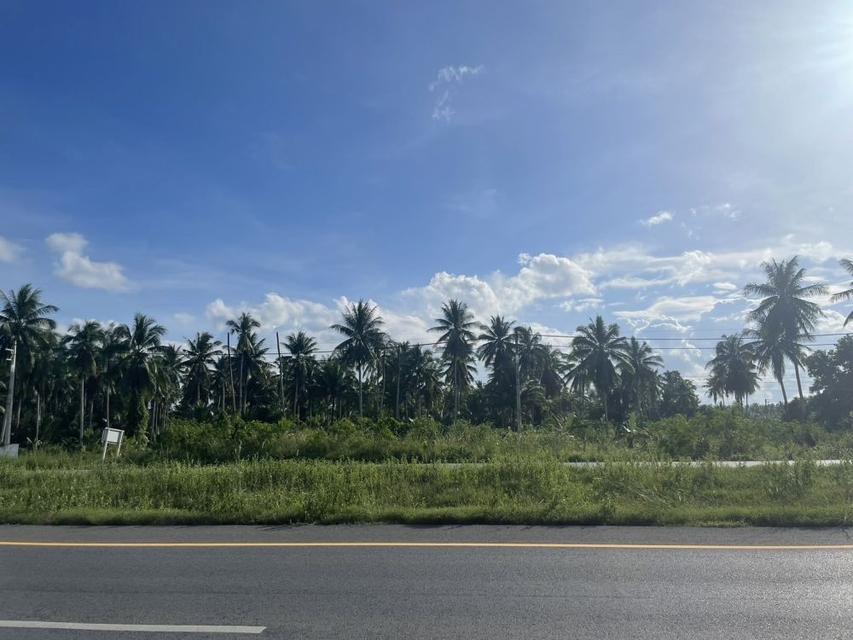 ขายที่ดินทำเลติดถนนใหญ่ หน้ากว้าง 112 เมตร ใกล้เซ็นทรัลสุราษฎร์ 1