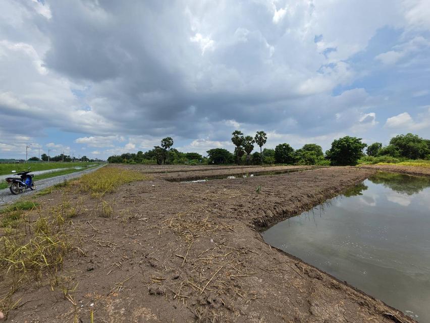ที่ดิน บางขวัญ แปดริ้ว หน้าถนนและคลองชลประทาน ด้านข้างติดคลอง เหมาะทำเกษตร ปลูกบ้านอยู่ริมคลอง 6