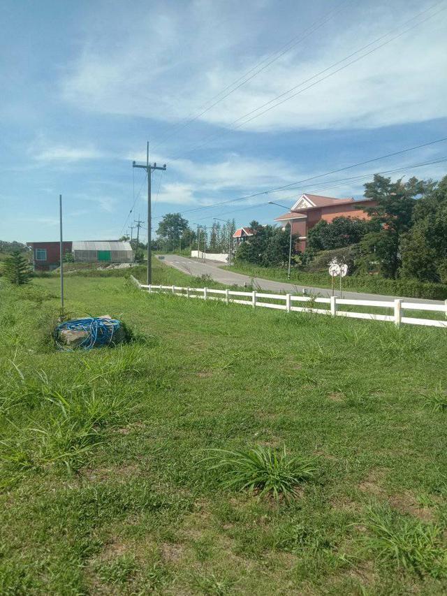 ที่ดินเปล่า 1 ไร่ 9แสน ห่างจากถนน 304 2กิโลเมตร ทางไปคลองสอง วังน้ำเขียว 5