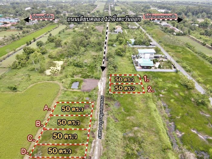 ที่ดิน หนองเสือ ปทุมธานี ขนาด 50 ตร.วา 290,000 3