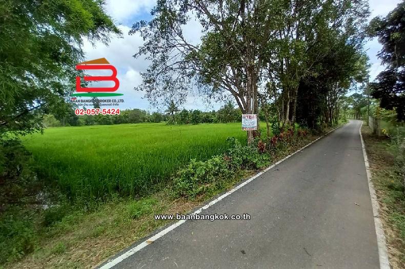 ที่ดินเปล่า บ้านเนินหอม(ม.4) เนื้อที่ 29-0-52 ไร่ ( เทศบาลซอย 12) ตำบลเนินหอม อำเภอเมืองปราจีนบุรี ปราจีนบุรี 2