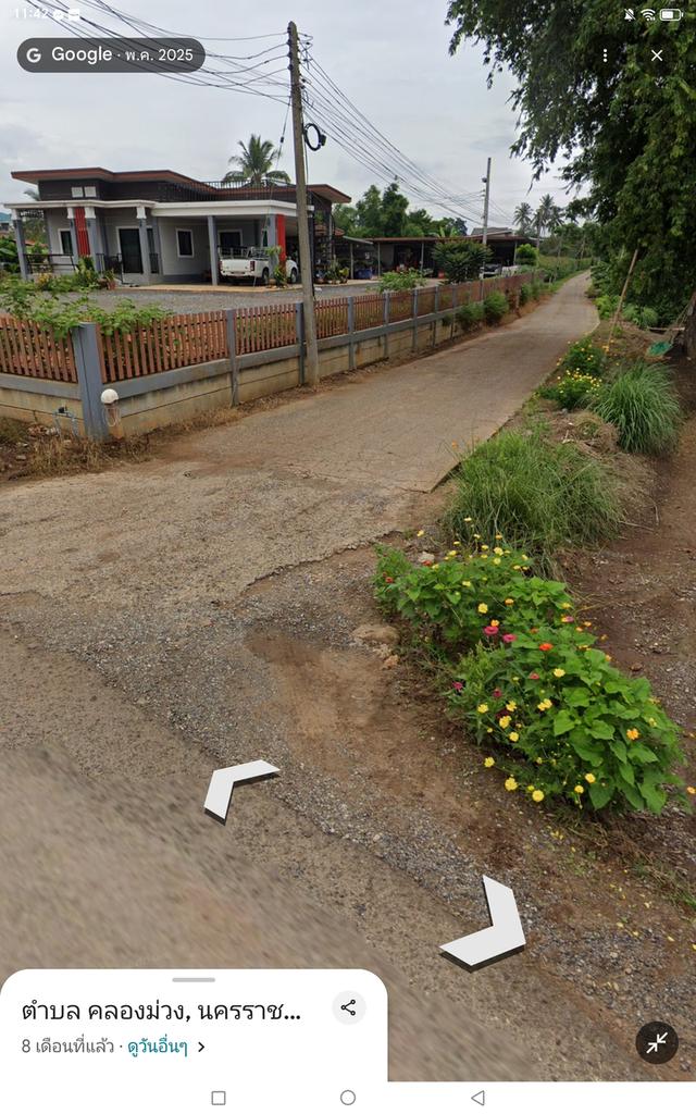 ขายตำบลคลองม่วงอำเภอปากช่องนครราชสีมา พื้นที่ 109-1-49 ไร่โฉนด 7