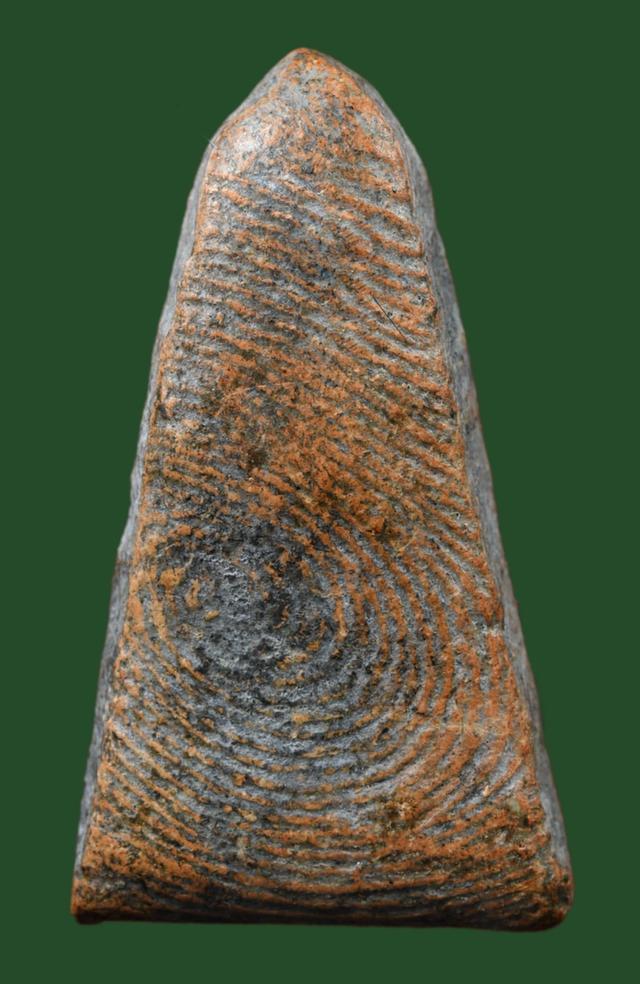 พระผงสุพรรณพิมพ์หน้าหนุ่ม 2