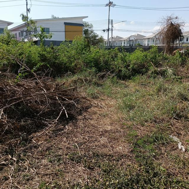 ที่ดินท่าไข่ฉะเชิงเทรา 16