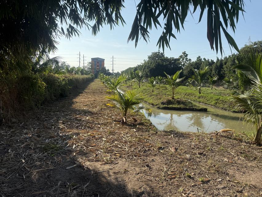 ขายที่ดินติดแม่นำ่ทำแลทอง 7