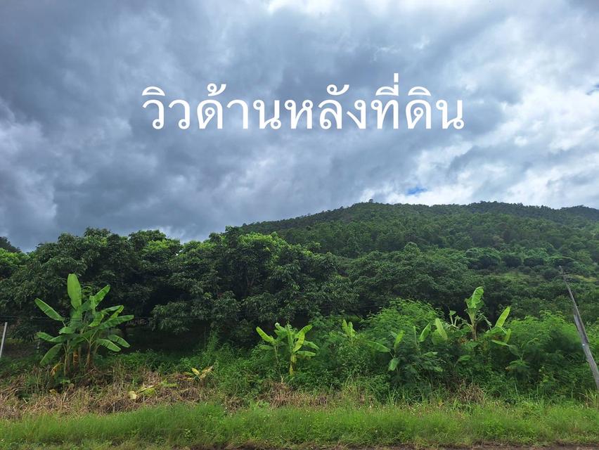 ขายที่ดินวิวภูเขา อ.พร้าว จ.เชียงใหม่ 13