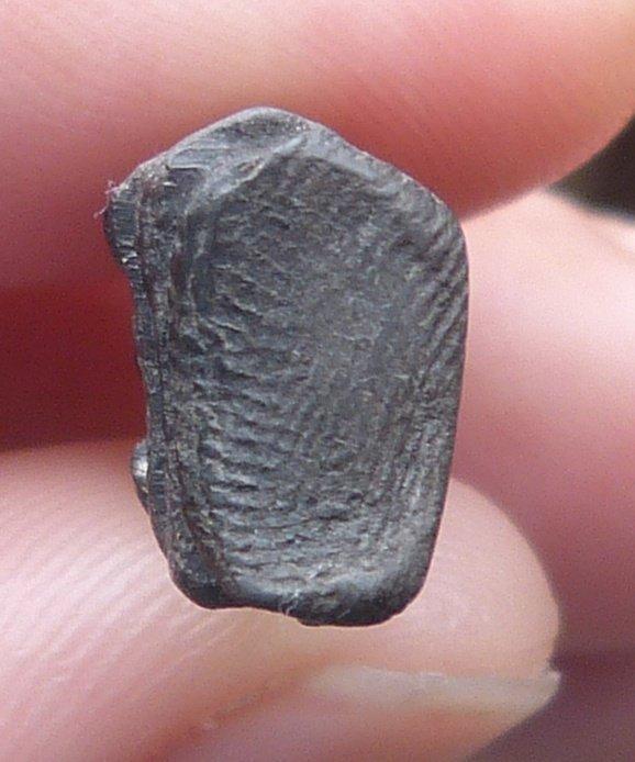 พระรอดมหาวัน ลำพูน . รูปที่ 3