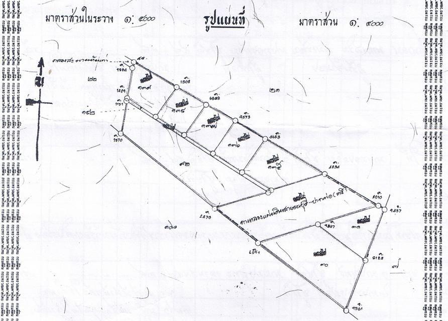 ขายที่ดิน 1