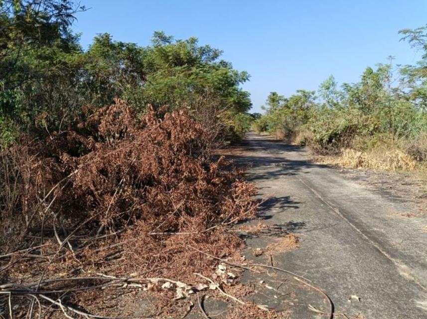 ขายที่ดิน100ตรว.ติดถนนคอนกรีต ข้างหลังเต้นท์รถยนต์ 50เมตร  5