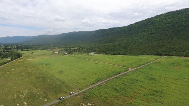 รวมบ้านที่ดินดีงามเพื่อคุณ ขายที่ดินสวยติดภูเขา เทือกเขายาวเรียงแนว ดินดีสมบูรณ์ทรัพย์ในดิน ฟ้าใสวิวหลักล้าน ต.นาจาน อ.ส 8
