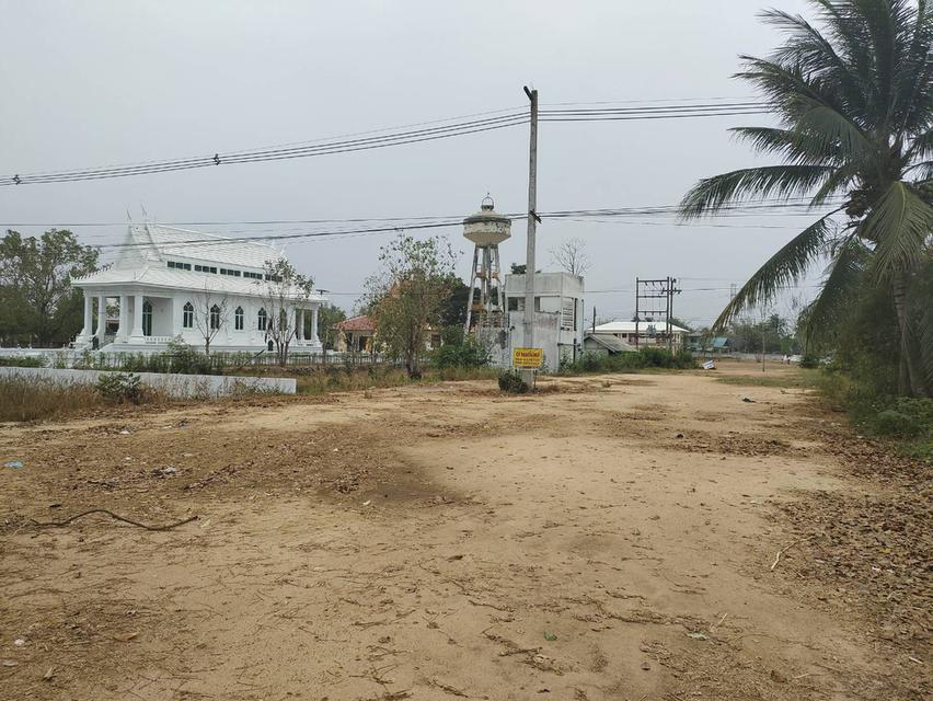 ขายที่ดินเปล่า ทำเลดี ติดถนน​ อำเภอวชิรบารมี จังหวัดพิจิตร  4