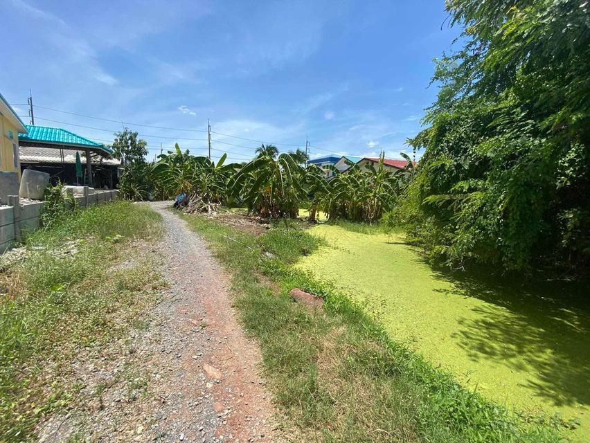 ขายที่ดิน นครชัยศรี นครปฐม 3 งาน 20 ตารางวา 1