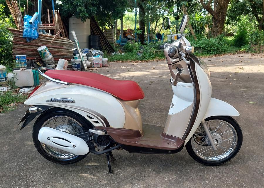 scooy i