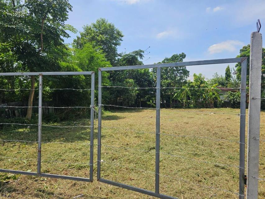 ขายที่ดินแปลงสวย ถมแล้ว ขนาด 196 ตร.วา เข้าซอย หทัยราษฎร์ 23/1 เพียง 500 ม. ใกล้ทางด่วน - ถนนวงแหวน - MRT มีนบุรี