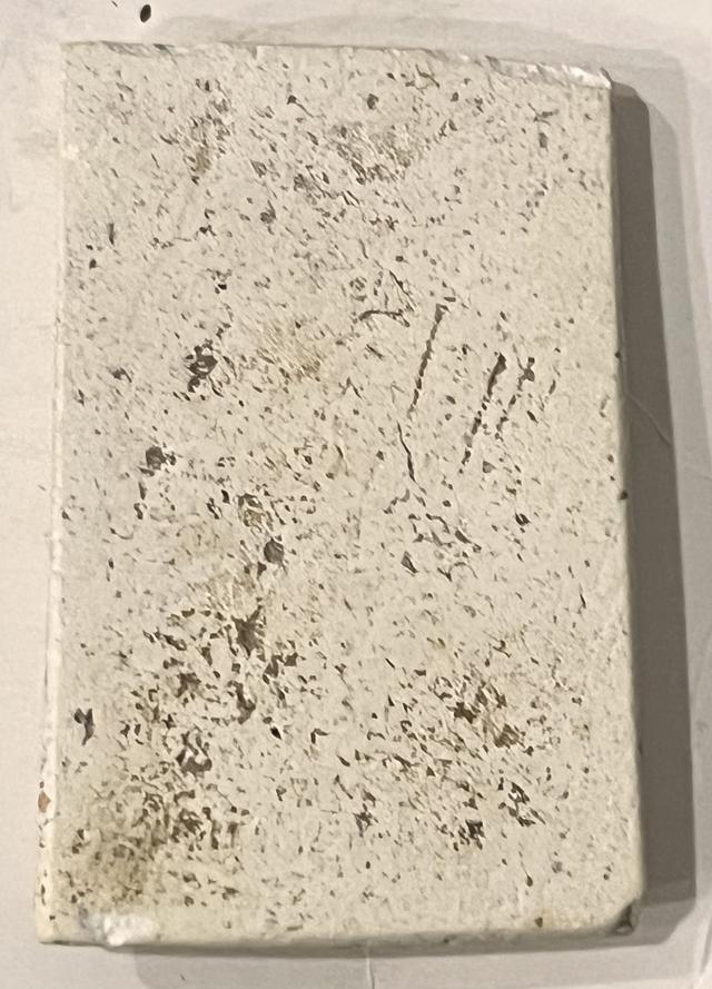 พระสมเด็จร้อยปีวัดระฆัง