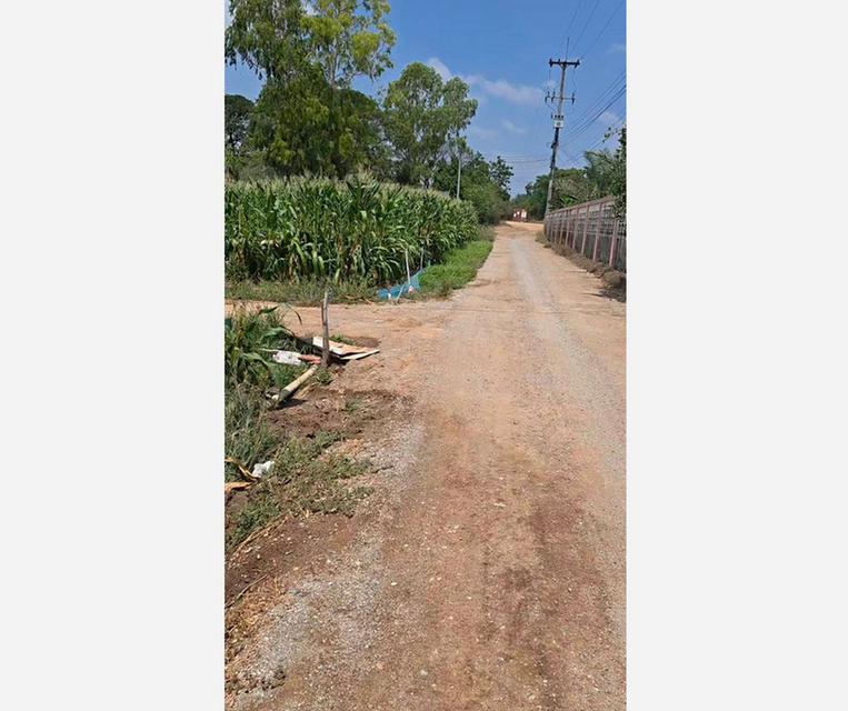 ขายที่ดินแปลงสวย ท่าม่วง กาญจนบุรี เหมาะลงทุน ใกล้ถนนใหญ่ เข้า-ออกได้หลายทาง เดินทางสะดวก เพียง 1 ชั่วโมงกว่าจากกรุงเทพฯ 8