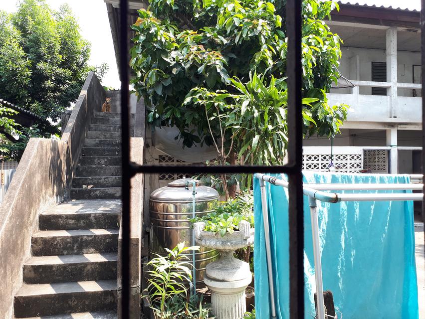 ขายที่ดิน 112 ตารางวา อยู่พระราม 9 ซอย 35 4