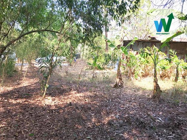 ขายที่ดินเปล่า 63 ตร.ว. น้ำไฟเข้าถึงแล้ว กว้าง 14 ม. ลึก 18 ม. รูปสี่เหลี่ยมผืนผ้า ใกล้โรงเรียนชุมชนบึงบาหนองเสือ 6