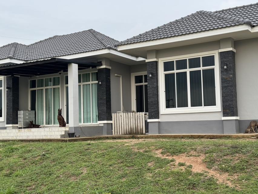 ขายที่ดินมะขามคู่ 1 ไร่ ซอยหลังตลาดนพเก้าพร้อมบ้าน4ห้องนอน 2ห้องน้ำ อ.นิคมพัฒนา ระยอง 8