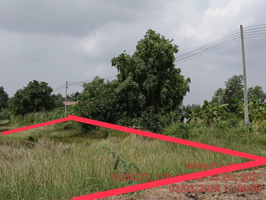 ‼️ขายที่ดินเปล่าถูกมากๆ คลองหลวง ซอยคลอง 3 9/2 13