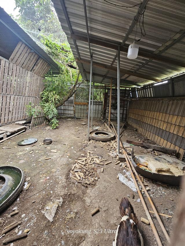 ขายที่ดิน 3-0-80 ไร่ พร้อมสิ่งปลูกสร้าง ติดถนนเลียบคลองขุนศรี ต.ไทรน้อย อ.ไทรน้อย จ.นนทบุรี 18