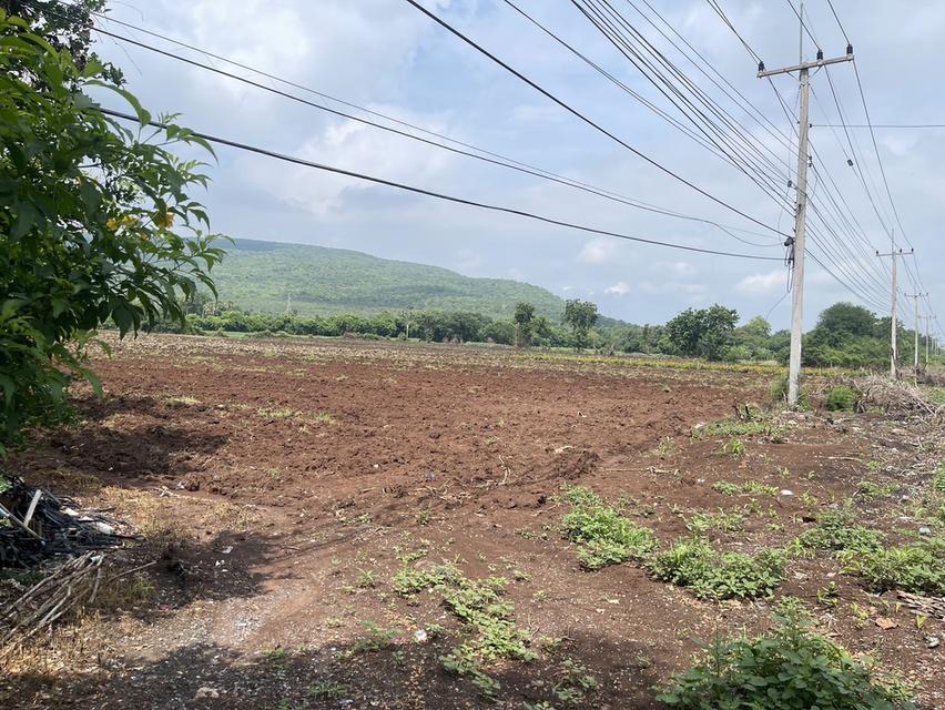 ขายที่ดิน(เจ้าของขายเอง) ติดถนนสุรนารายณ์ (205) โฉนดครุฑแดง 16 ไร่ 1 งาน 45 ตารางวา ลพบุรี 3