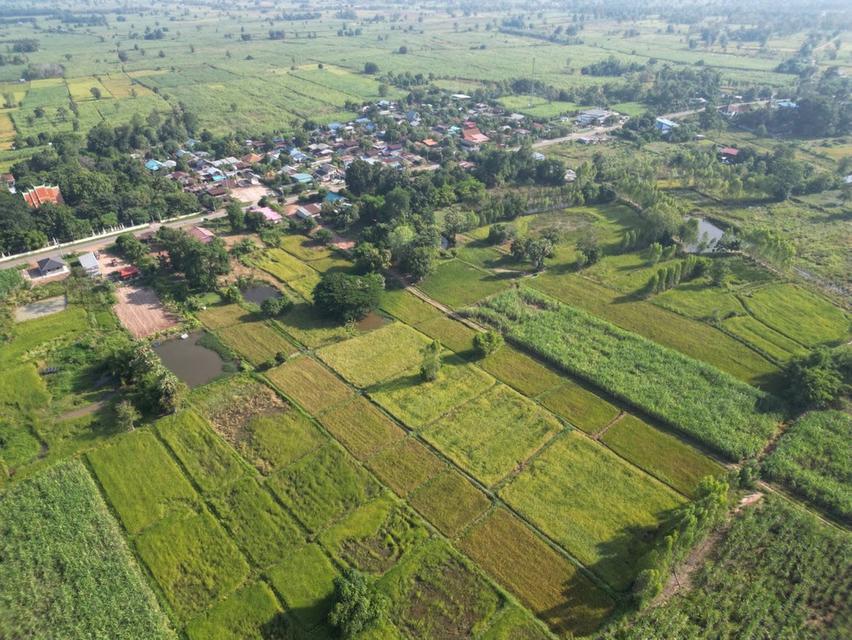 ที่ดินจังหวัดขอนแก่นราคาพิเศษ 5