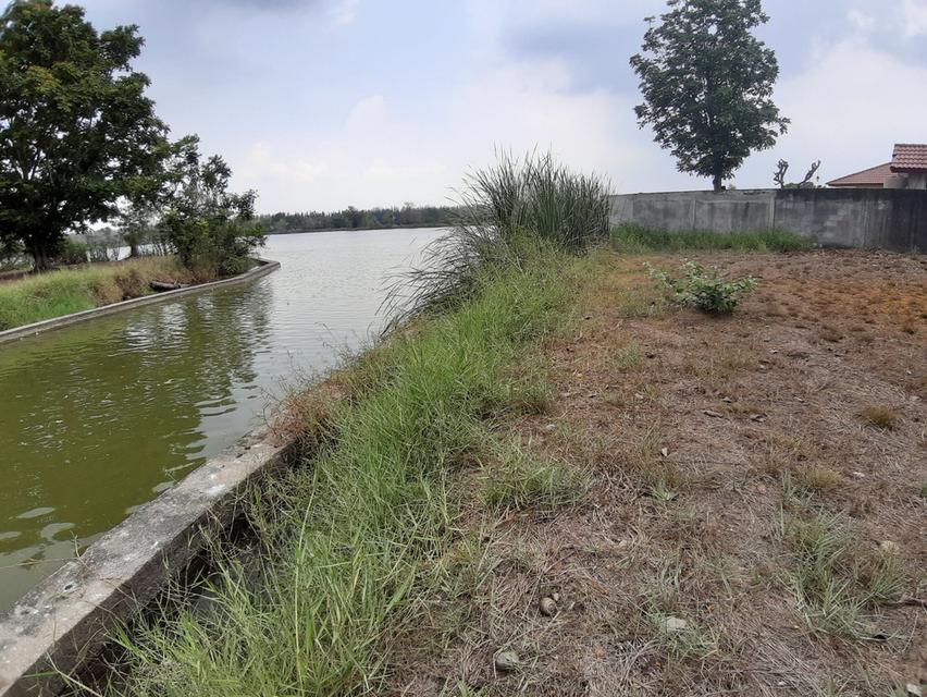 ⛳ขายที่ดินเปล่าเหมาะสำหรับปลูกสร้างบ้าน ในโครงการหมู่บ้านเดอะลากูน1 อำเภอสามโคก จังหวัดปทุมธานี ติดละเลสาป ⛳ 11