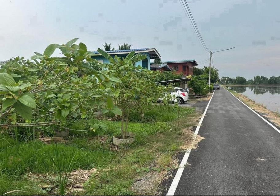 ขายที่ดินลาดหลุมแก้ว 1 ไร่ ติดถนนลาดยาง ใกล้ถนนบางบัวทอง-สุพรรณบุรี340-2.8กม. จ.ปทุมธานี