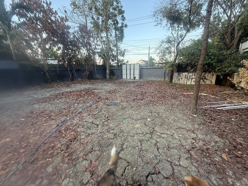 ปล่อยเช่าที่ดินในกรุงเทพ รูปย่อยที่ 3