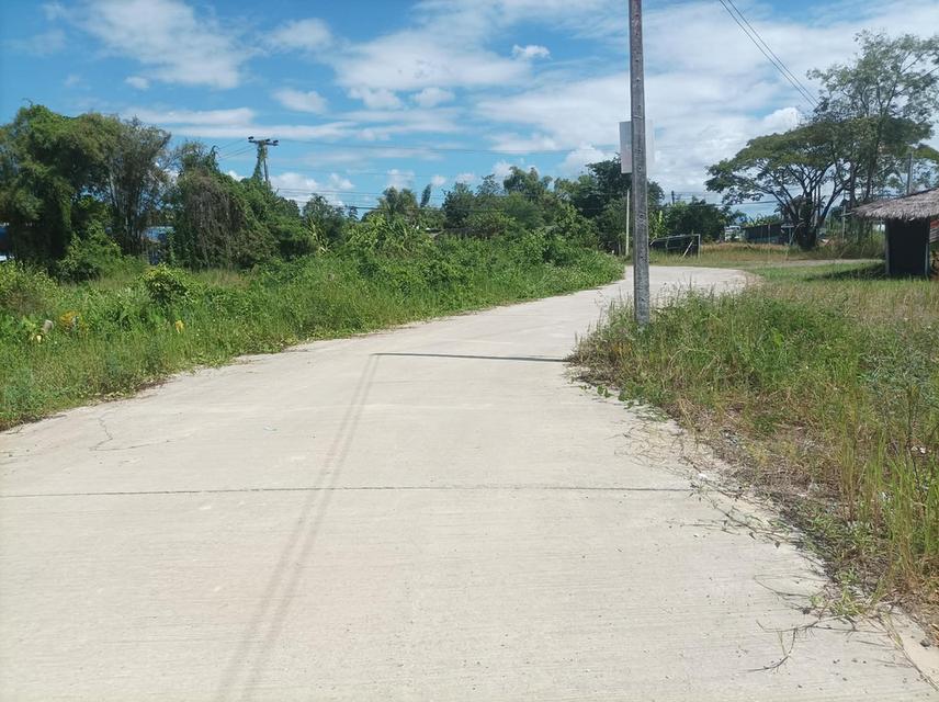 ขายที่ดิน ราคา3,980/ตร.ว. ต.สำราญราษฎร์ อ.ดอยสะเก็ด จ.เชียงใหม่ 6