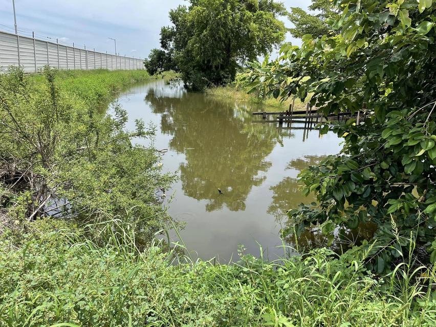 บางกระสั้น บางปะอิน  พระนครศรีอยุธยา 1