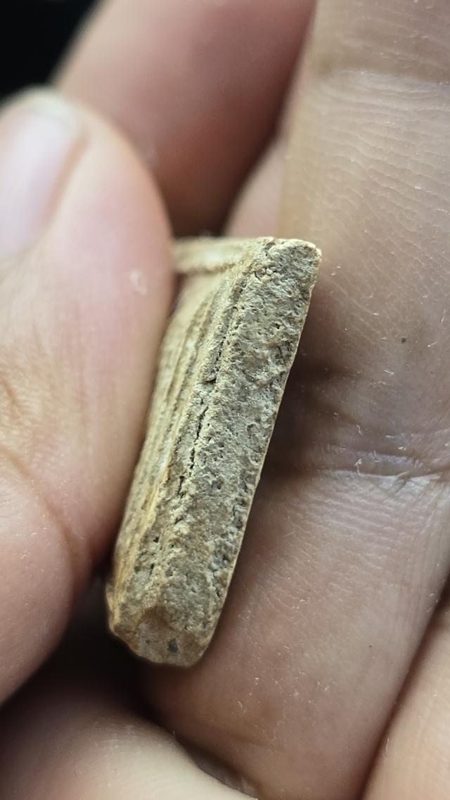 พระสมเด็จบางขุนพรหม พิมพ์เส้นด้าย 5