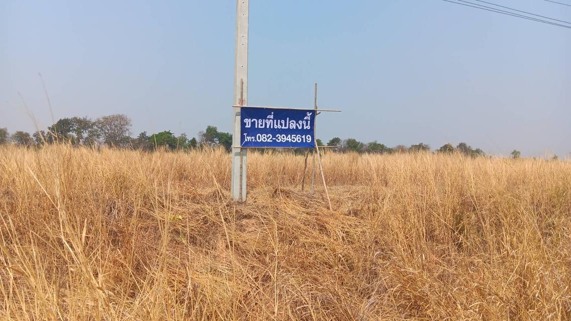 ขายที่ดินทั้งหมด6แปลงติดกันเป็นผืนเดียว มีแปลงละ1ไร่ จำนวน5แปลง อีกแปลง1ไร่3งาน ขายเหมายกผืนหรือจะแบ่งซื้อเป็นแปลงก็ได้ 1